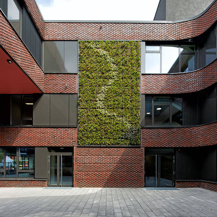 SNAKE-FINAL-13-Foto_Mike-Christian_15_700pixel