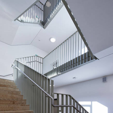 SNAKE-FINAL-45-Foto_Mike-Christian_10_700pixel