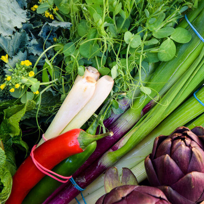 SUPERFOOD_NEU_31032020-6_15_700pixel