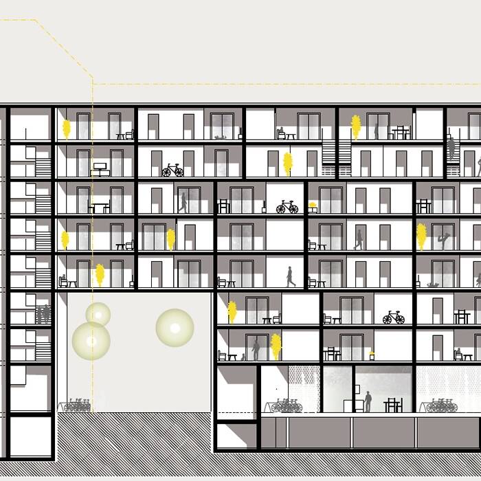 Schnitt-la-ngs_700pixel