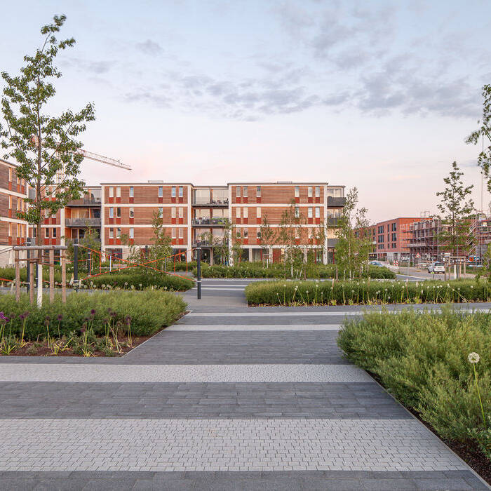 Sebastian_Glombik_Vogelkamp_8149_19_700pixel