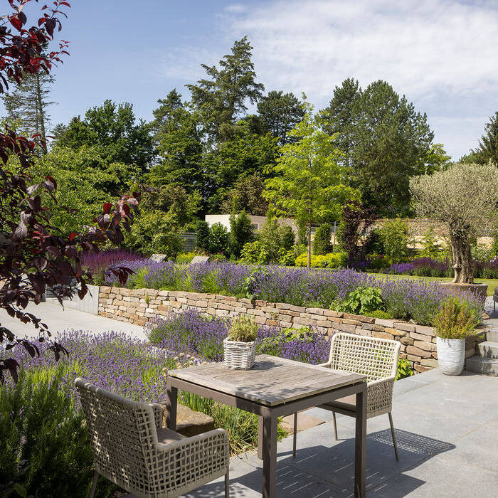 TOM_8783_15_700pixel