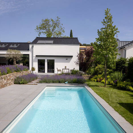 TOM_8823_10_700pixel