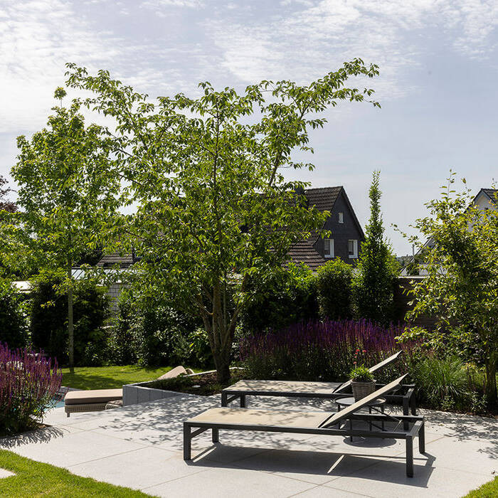 TOM_8841_10_700pixel