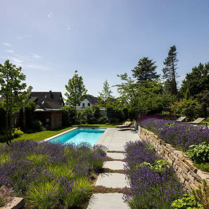 TOM_8910_15_700pixel