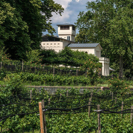 Villa-Jacobs_7345_10_700pixel