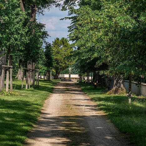 Villa-Jacobs_7365_12_700pixel