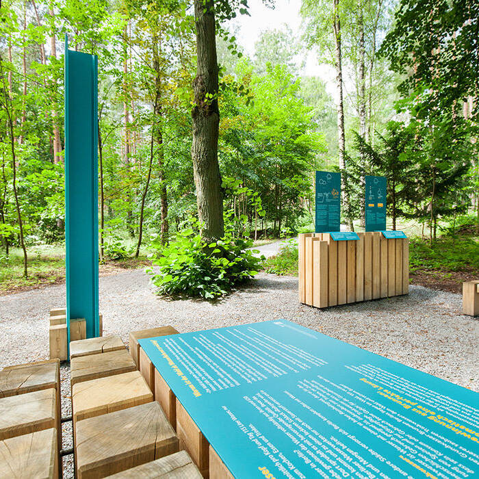 WALD_WINKELMEIER_IMG_3511_10_700pixel