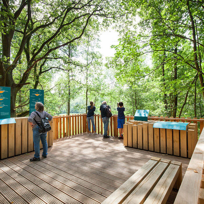 WALD_WINKELMEIER_IMG_3786_15_700pixel