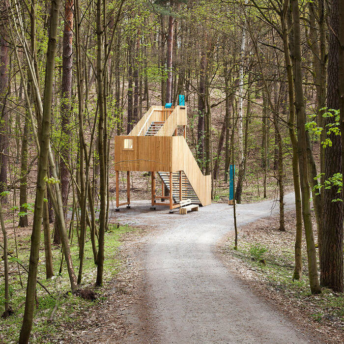 WALD_Winkelmeier_IMG_6531_15_700pixel