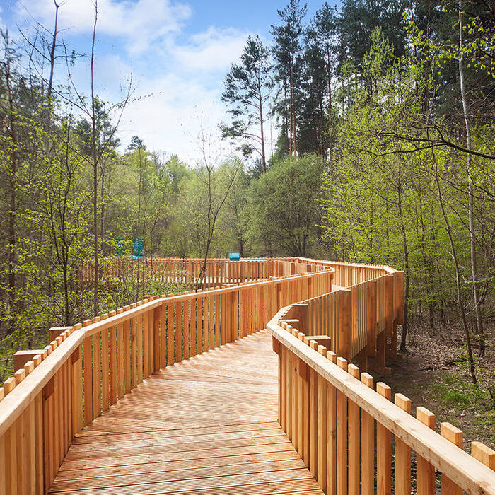 WALD_Winkelmeier_IMG_6695_10_700pixel