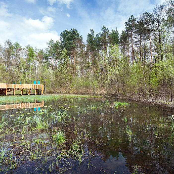 WALD_Winkelmeier_IMG_6765_19_700pixel