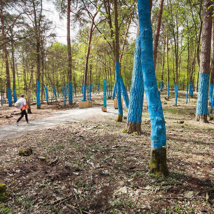 WALD_Winkelmeier_IMG_7074-Kopie_19_700pixel