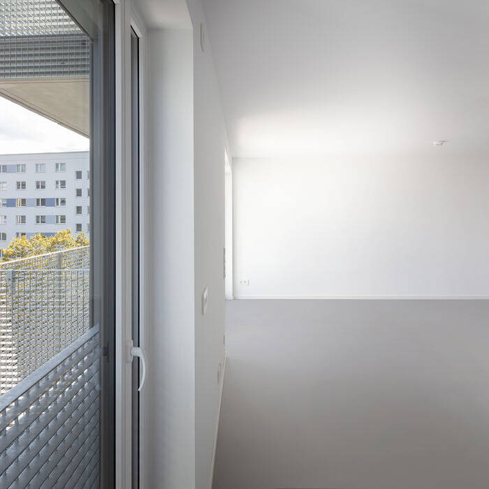 WF_Dol_012_15_700pixel