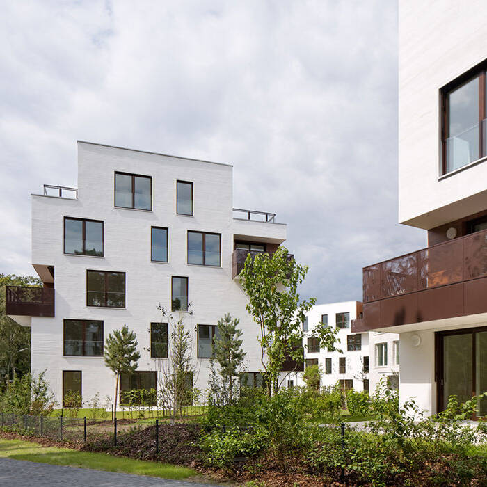 WH1547-1614_10_700pixel