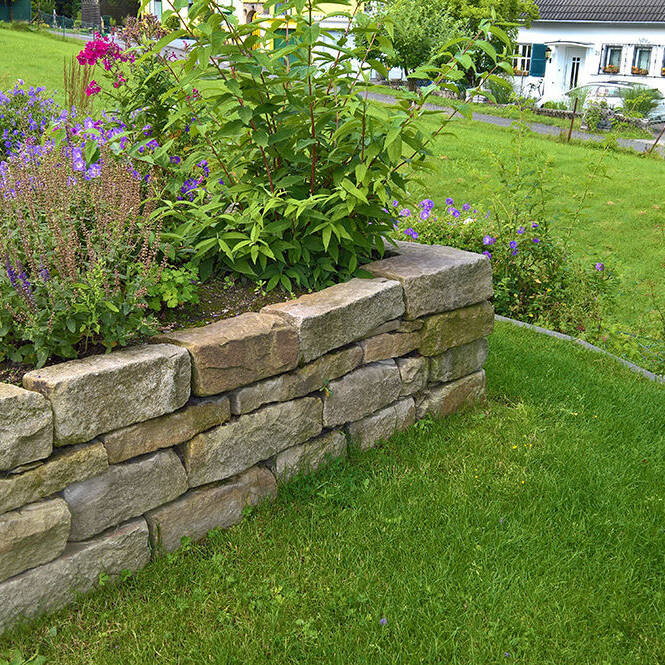 WP_20210801_10_15_21_Pro_10_700pixel