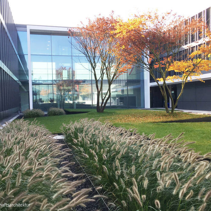 Wewer-LA_039_n_700pixel