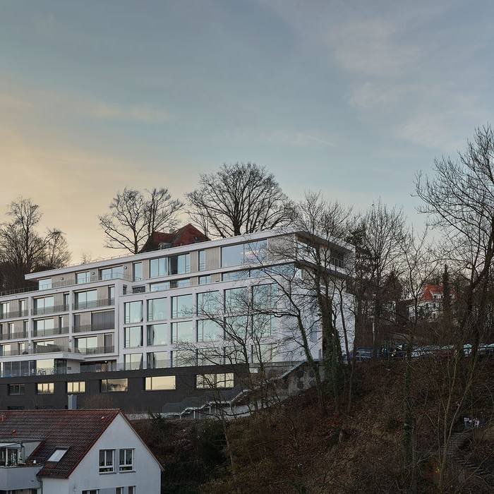 ZB715-19_19_700pixel