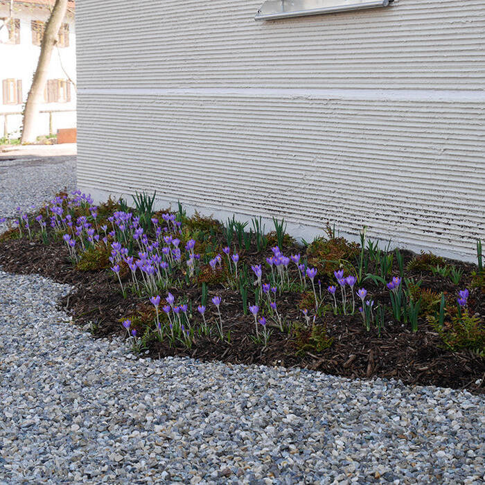 _1060509_10_700pixel