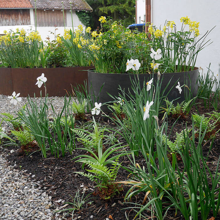 _1060600_10_700pixel