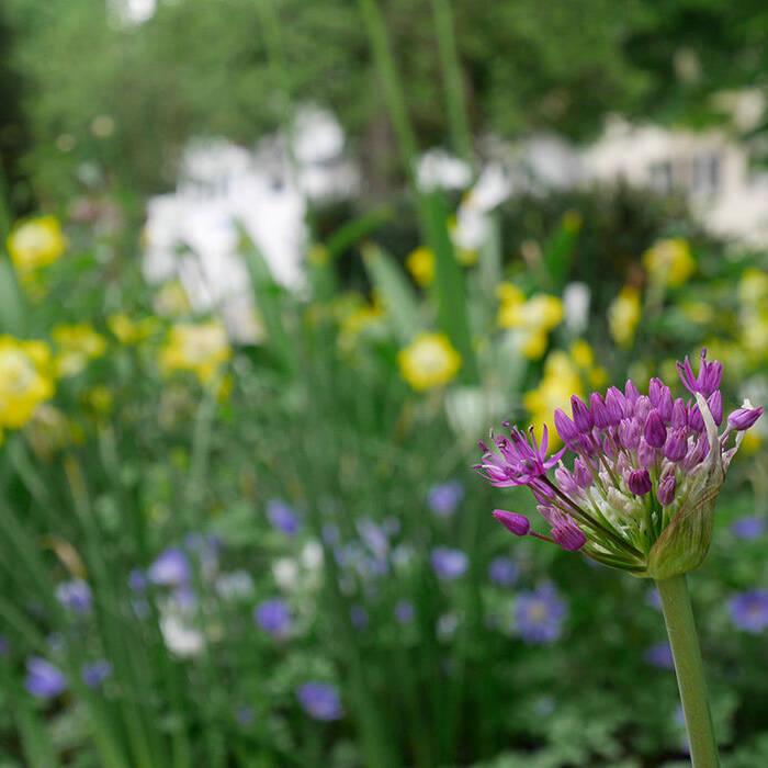 _1060606_10_700pixel