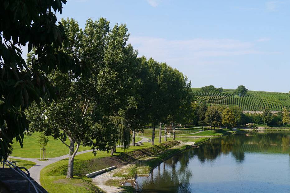 _5_LUZ_Lauffen_Neckarufer_19_700pixel