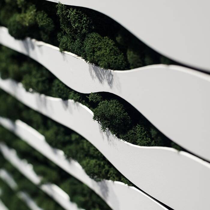 _DSC0557_10_700pixel