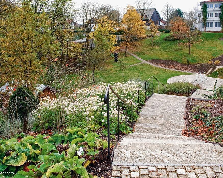 _DSC6083_19_700pixel