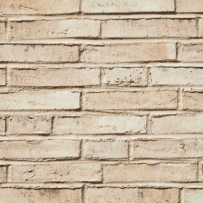 _H6A3867_10_700pixel