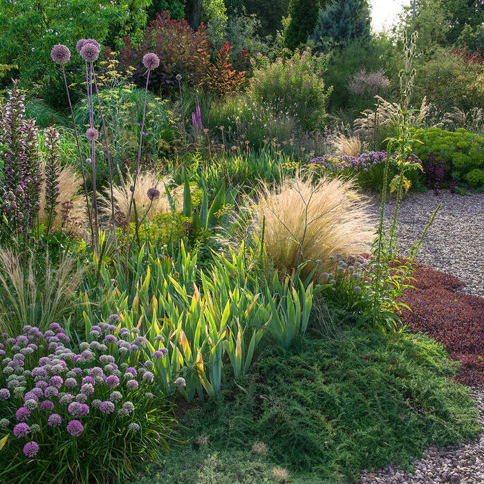 _JBY6787_15_700pixelm1o9aU90legQy