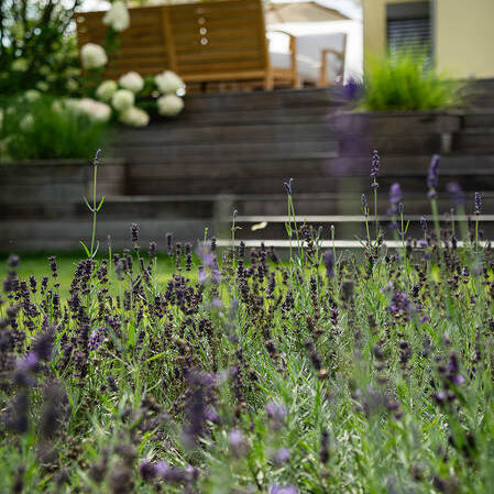 _KAP0329-2_10_700pixel