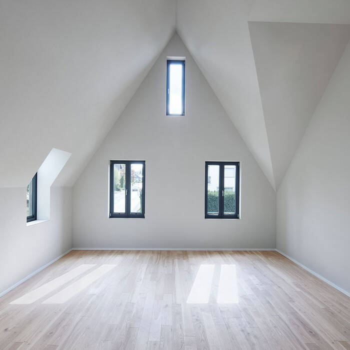 _R5_0734_fin_15_700pixel