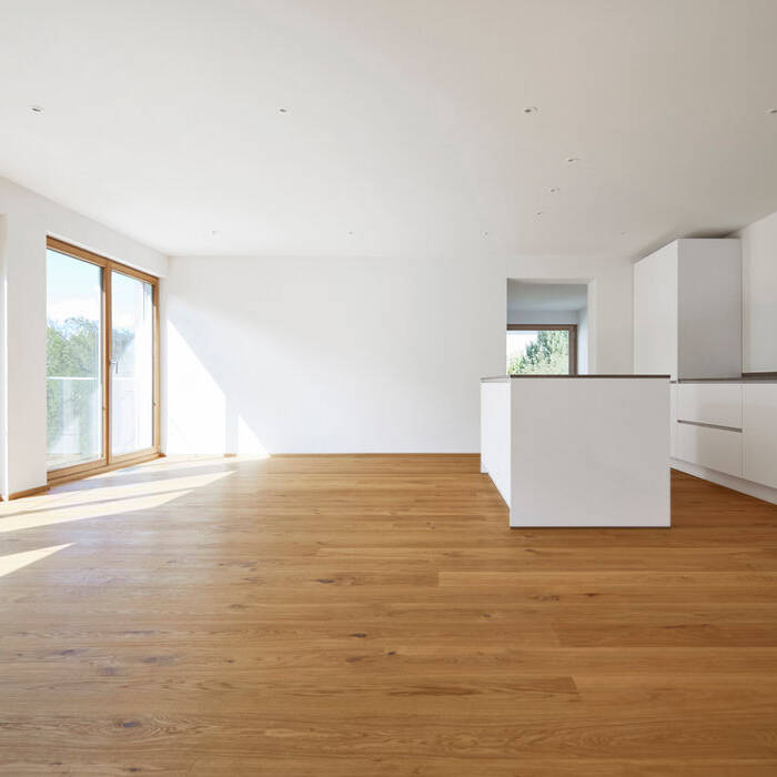 _R5_4638_fin_II_10_700pixel