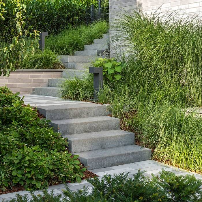 _TSC7697_10_700pixel