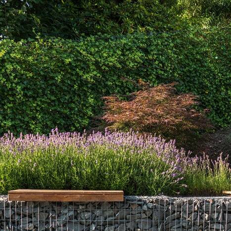 _TSC7710_10_700pixel