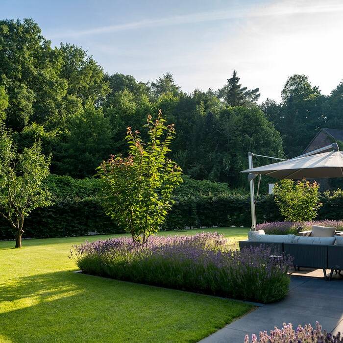 _TSC7819_15_700pixel