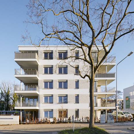 albert_villen_DIV6008_10_700pixel