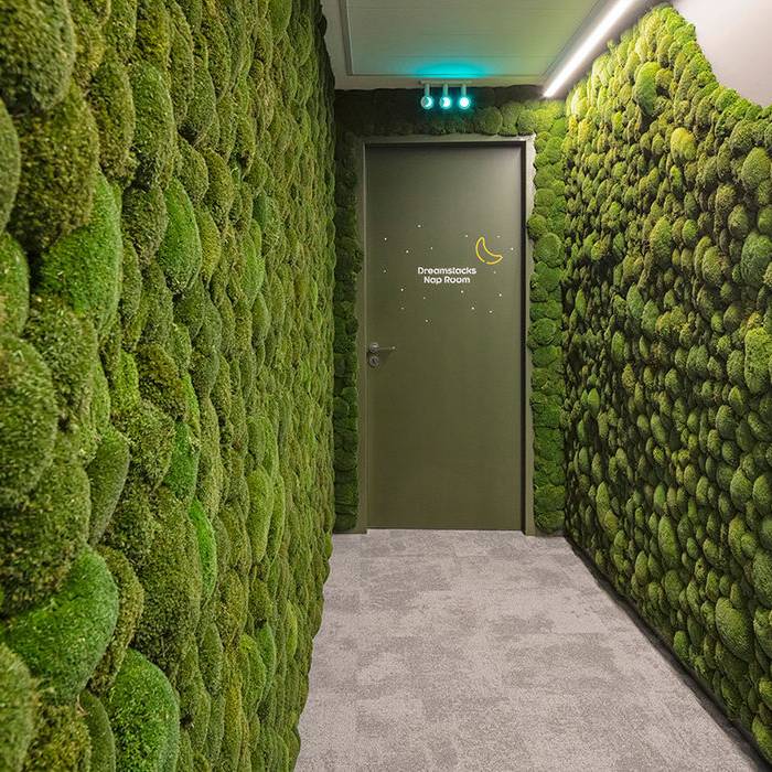 contentful_404_wb_7261_10_700pixel