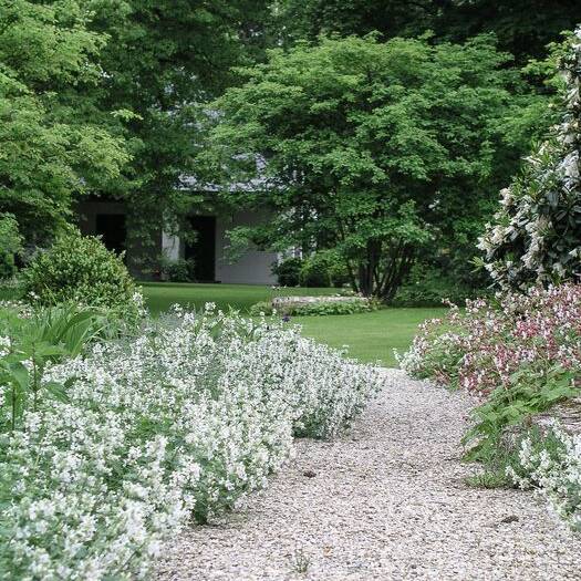 cube23_04_15_700pixel