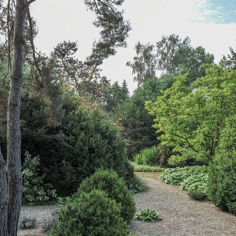 cube23_06_10_700pixel