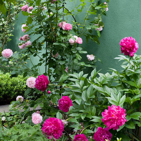 gartendesign_klassisch_maintal_mkk_001_10_700pixel