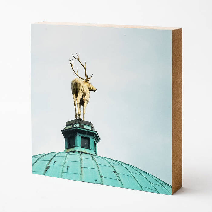 harald_voelkl_neckarliebe_hi_res_046_15_700pixel