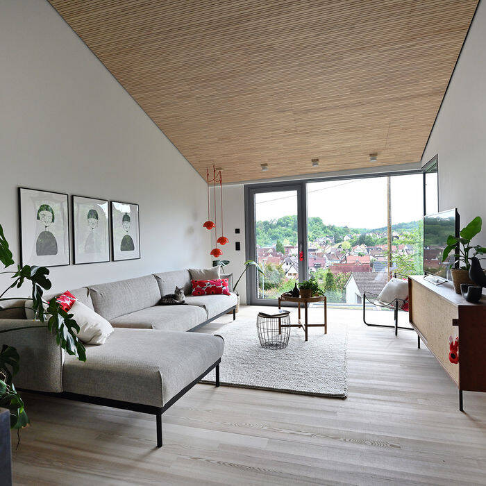 haus_haug_ww_05_23_40_15_700pixel