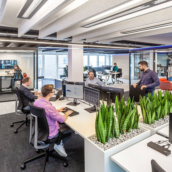 if5d_netcologne_bueroflaeche-05_10_700pixel