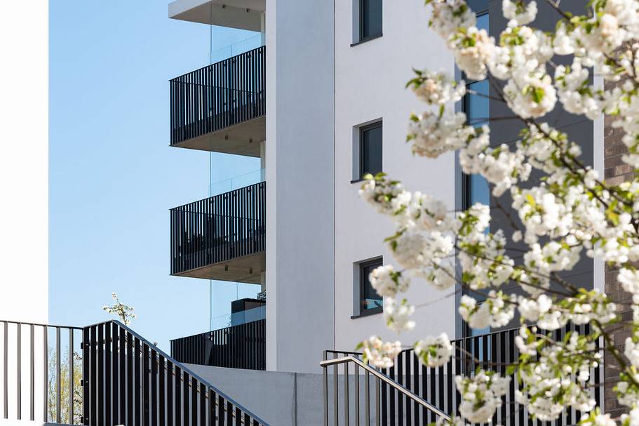 linuslintner_col6288-1_15_700pixel