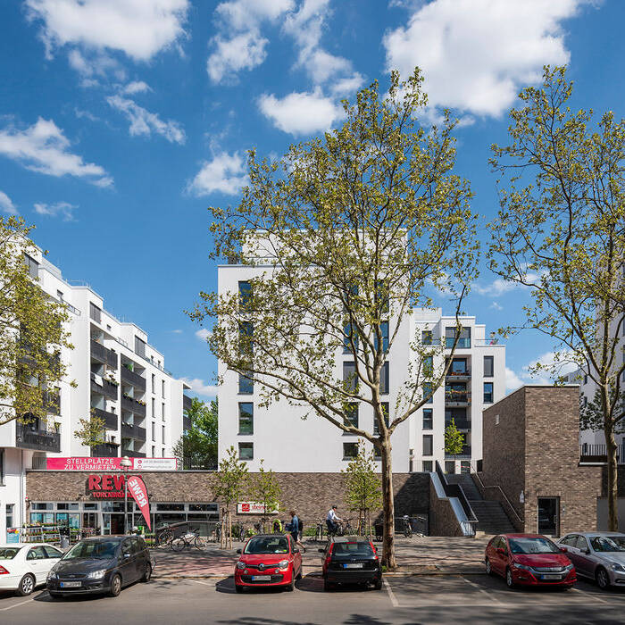 linuslintner_col6464SC_15_700pixel