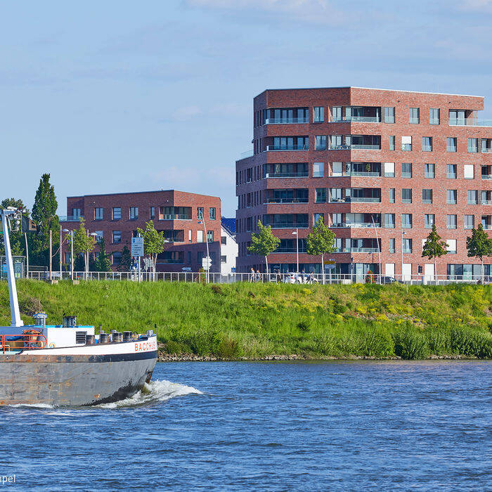 mh460673_1-C-Max-Hampel_15_700pixel