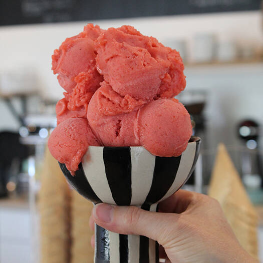 20230503114803_IMG_6940_10_700pixel