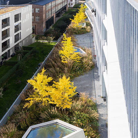 31_53_221010_Iwan_Baan_N31_10_700pixel