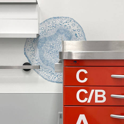 DET_2022-12-05-08-18-18_10_700pixel